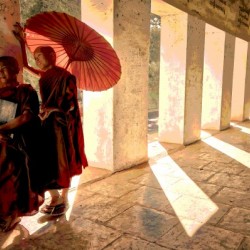Jeunes moines bouddhistes au temple